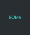 Scheda stufa Art Line Roma