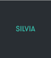 Scheda stufa Art Line Silvia