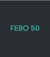 Scheda stufa Classica Febo 50