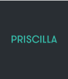 Scheda stufa Contemporanea Priscilla